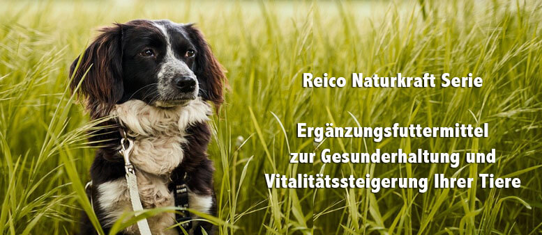 Bewertung Reico Hundefutter online shop